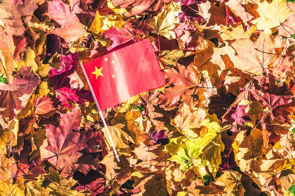 Chinese flag lying on the maple leaves in the autumn forest at the morning at dawn.  Concept. Top view. Indian summer.