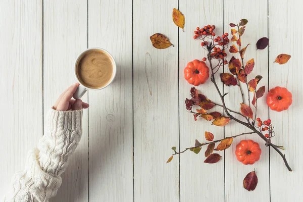 Woman with cup of coffee, leaves, small pumpkins and rowan on white retro wood boards. background. Autumn, fall concept. Flat lay, top view.