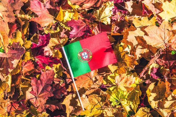 Portuguese Flag Lying Maple Leaves Autumn Forest Morning Dawn Concept — Stock Photo, Image