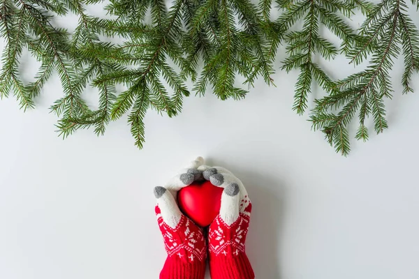 Female Hands Winter Gloves Big Red Heart Spruce Branches White — Stock Photo, Image