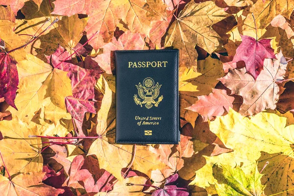 American Passport Lying Maple Leaves Autumn Forest Travel Concept Top — Stock Photo, Image