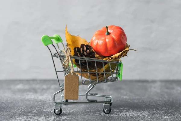 Green Small Toy Shopping Cart Birch Leaves Cone Pumpkin Concrete — ストック写真