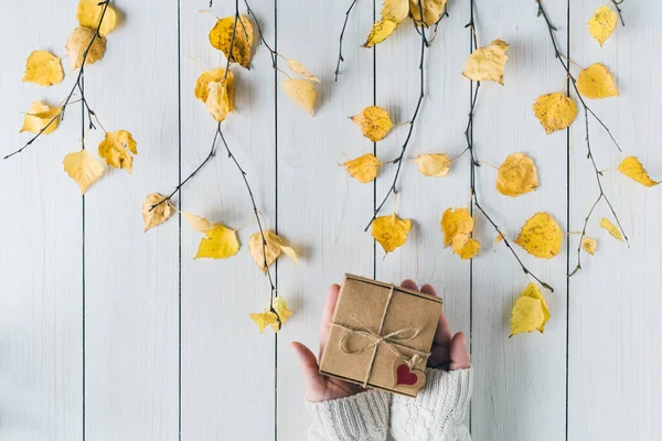 妇女在白色复古木板上的一盒牛皮纸中包装礼物 桦树枝条 感恩节 秋天的概念 平躺在地上 俯瞰四周 — 图库照片