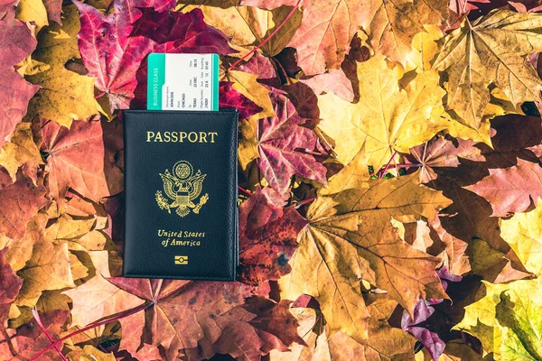 American Passport Boarding Pass Lying Maple Leaves Autumn Forest Travel — Stock Photo, Image