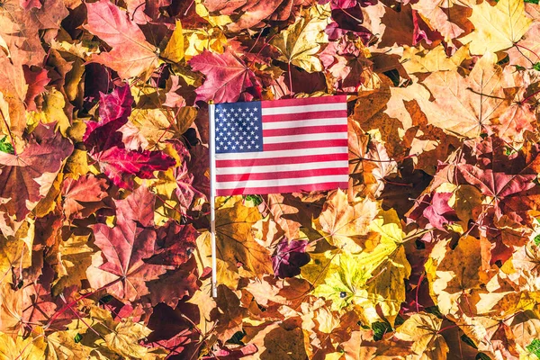 Amerikaanse Vlag Liggend Esdoorn Bladeren Het Herfstbos Bij Zonsopgang Concept — Stockfoto