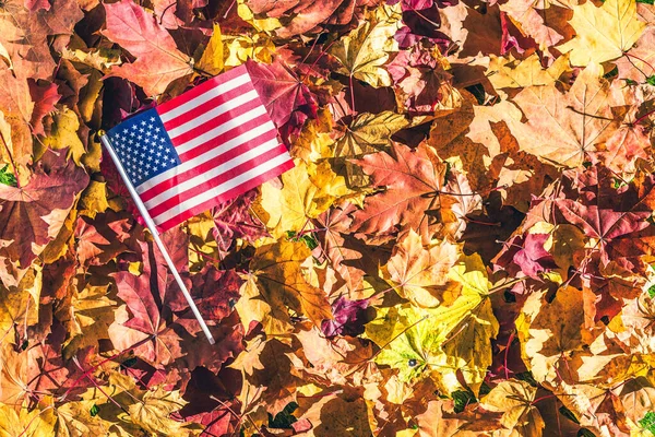 Amerikaanse Vlag Liggend Esdoorn Bladeren Het Herfstbos Bij Zonsopgang Concept — Stockfoto