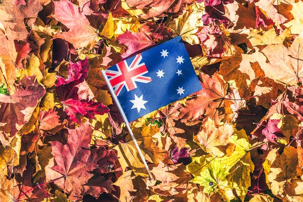 Australian Flag Lying Maple Leaves Autumn Forest Morning Dawn Concept — Stock Photo, Image