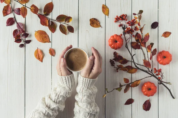 Woman with cup of coffee, leaves, small pumpkins and rowan on white retro wood boards. background. Autumn, fall concept. Flat lay, top view.