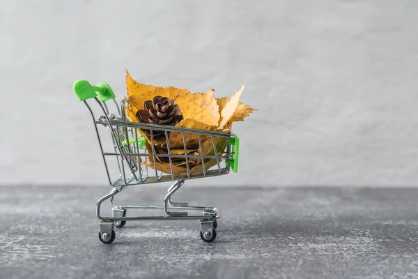 Green Small Toy Shopping Cart Leaves Cone Concrete Wall Background — ストック写真