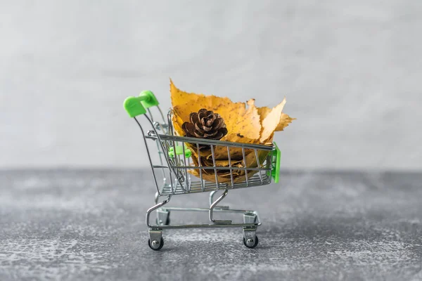 Green Small Toy Shopping Cart Leaves Cone Concrete Wall Background — ストック写真