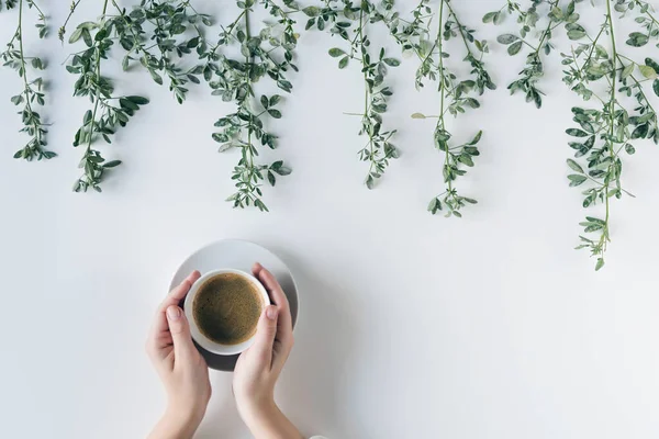 Female hands with a cup of coffee in branches with green leaves on a white table. Cofee art. Flat lay, top view.