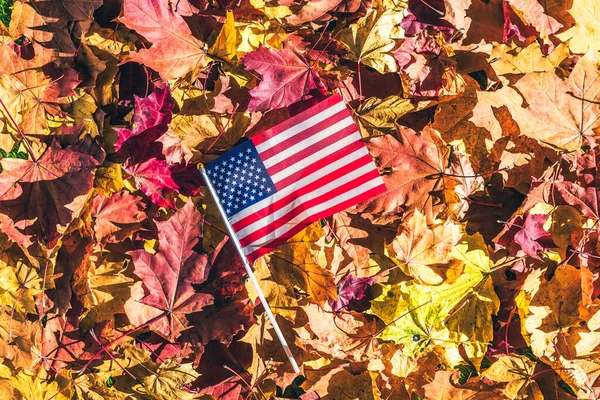 Amerikaanse Vlag Liggend Esdoorn Bladeren Het Herfstbos Bij Zonsopgang Concept — Stockfoto