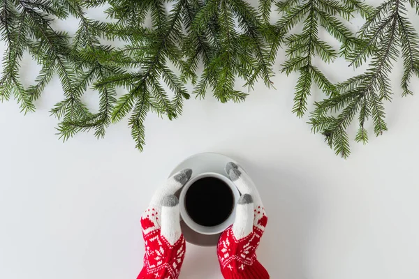 Female Hands Winter Gloves Cup Black Coffee Spruce Branches White — Stock Photo, Image