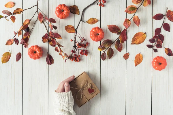 Woman packing gift in a box of kraft paper on white retro wood boards. leaves, rowan and small pumpkins. Thanksgiving. Autumn, fall concept. Flat lay, top view.