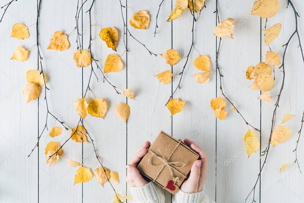 Woman packing gift in a box of kraft paper on white retro wood boards. leaves, birch branches. Thanksgiving. Autumn, fall concept. Flat lay, top view. 