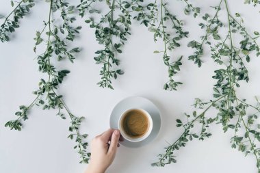 Dal dallarında bir fincan kahve ve beyaz bir masada yeşil yapraklı kadın elleri. Kahve sanatı. Düz yatış, üst görünüm.