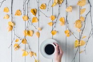 Ağaç dallarında bir fincan kahve ve beyaz tahta üzerinde sarı yapraklar olan bir kadın. Geçmişi. Sonbahar, sonbahar konsepti. Düz yerde, üst tarafta. Kahve sanatı