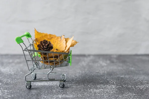 Green Small Toy Shopping Cart Leaves Cone Concrete Wall Background — ストック写真