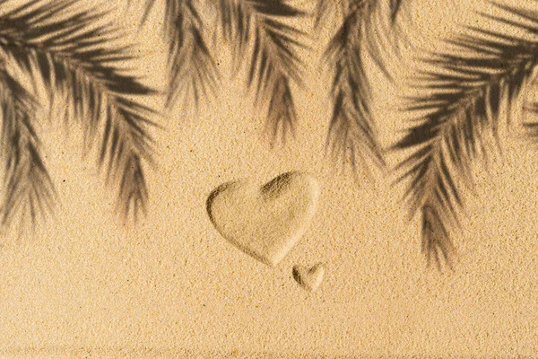 Srdce Ručně Kreslené Palmy Větev Stín Písečné Tropické Pláži Valentýn — Stock fotografie
