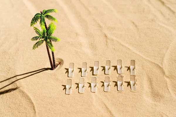 Aerial View Many Sunbed Lounge Palm Tree Private Sandy Beach — Stock Photo, Image