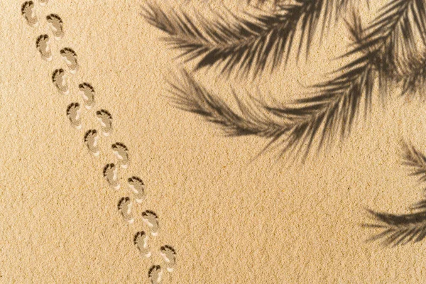 The shadow of a palm tree branch footprints on the sand of a sandy tropical beach. Background, copy space, travel, summer concept. Flat lay