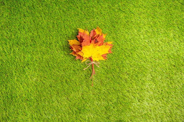 Vue Dessus Bouquet Feuilles Érable Colorées Sur Herbe Verte Créatif — Photo