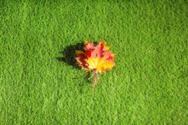 Вид Зверху Букет Різнокольорового Кленового Листа Зеленій Траві Творчий Мінімалізм — стокове фото