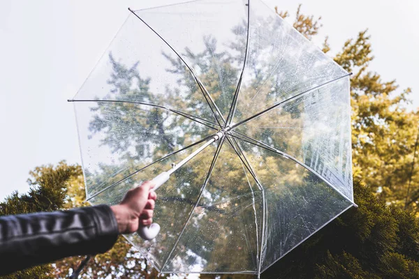 Outono Mão Menina Com Guarda Chuva Transparente Andando Parque Jardim — Fotografia de Stock
