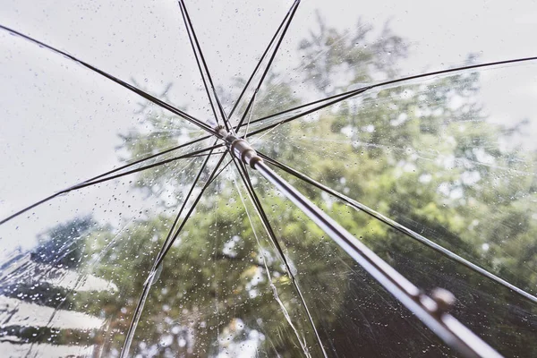Podzimní Les Přes Vlhký Průhledný Deštník Kapkami Deště Koncept — Stock fotografie