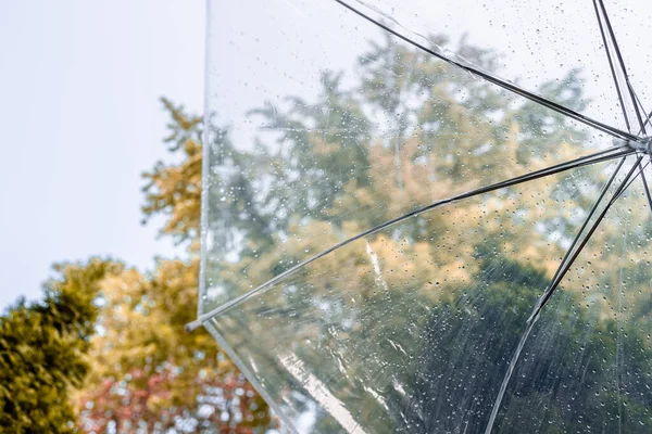 Podzimní Les Přes Vlhký Průhledný Deštník Kapkami Deště Koncept — Stock fotografie