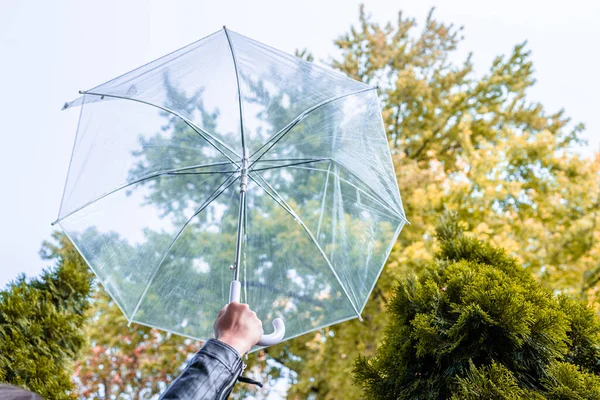 Otoño Mano Niña Con Paraguas Transparente Caminando Parque Jardín Paisaje — Foto de Stock