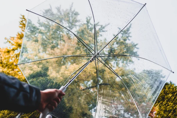 Outono Mão Menina Com Guarda Chuva Transparente Andando Parque Jardim — Fotografia de Stock