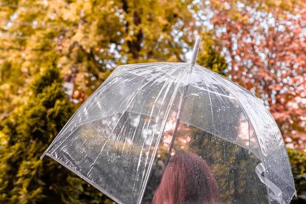 雨の透明な傘の下で孤独な赤毛の女の子が公園 庭を歩いて値下がりしました 雨の日の風景 — ストック写真