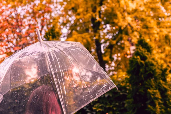 Autunno Donna Triste Solitaria Sotto Ombrello Trasparente Con Gocce Pioggia — Foto Stock