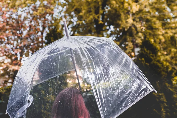 雨の透明な傘の下で孤独な赤毛の女の子が公園 庭を歩いて値下がりしました 雨の日の風景 — ストック写真