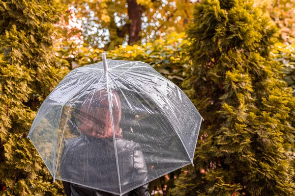 Autunno Ragazza Rossa Solitaria Sotto Ombrello Trasparente Con Gocce Pioggia — Foto Stock