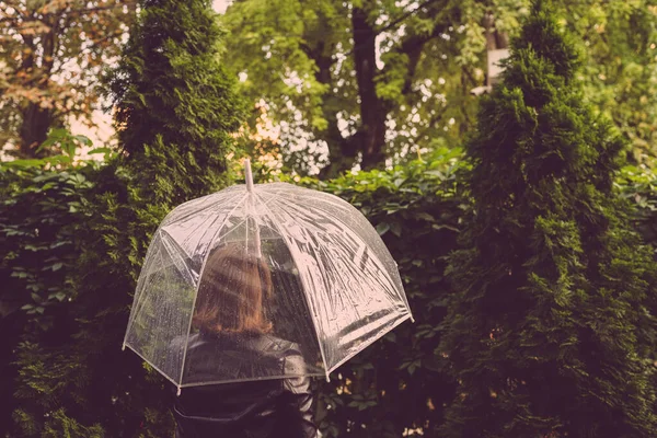 孤独的红头发女孩在透明的伞下 雨滴在公园 花园中散步 雨天景观 — 图库照片