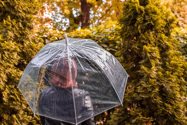 Hösten Ensam Ledsen Kvinna Ett Transparent Paraply Med Regndroppar Går — Stockfoto