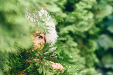 Korkmuş, açık gözlü, Noel Baba şapkalı güzel bir kız Noel ağacının arkasına saklanıyor. Kavram