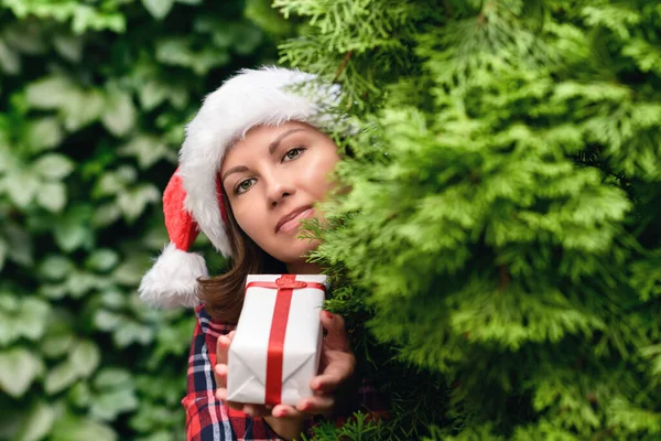 Женщина Красной Шляпе Санта Клауса Держит Маленький Подарок Через Зеленые — стоковое фото