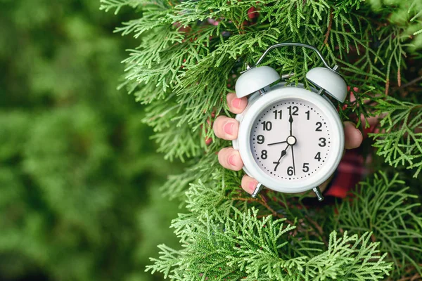 Frau Hält Wecker Grünen Tannenzweigen Wald Weihnachtsgeschenk Konzept Beeilen Sie — Stockfoto