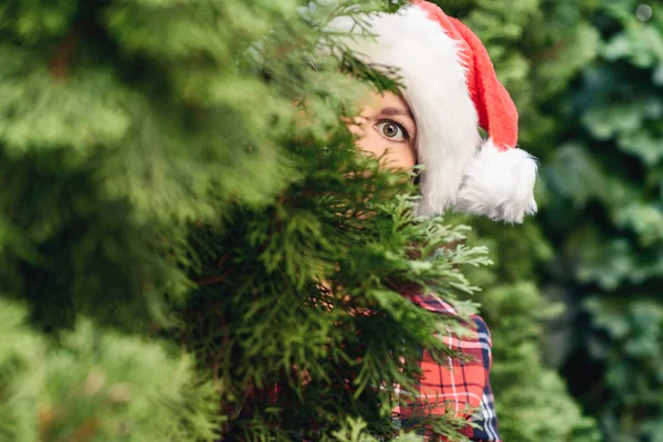 Woman hiding behind christmas tree. Girl with scared, open-eyed look, huge eye in a santa claus hat looking out from the branches of juniper. Concept