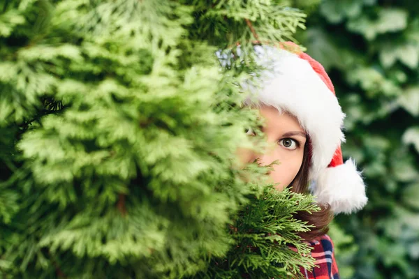 Scared, open-eyed look of a beautiful girl in a santa claus hat hiding behind a christmas tree. Concept