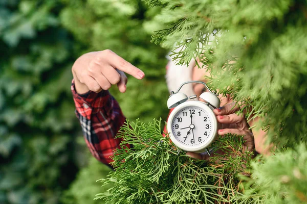 Frau Hält Wecker Grünen Tannenzweigen Wald Weihnachtsgeschenk Konzept Beeilen Sie — Stockfoto