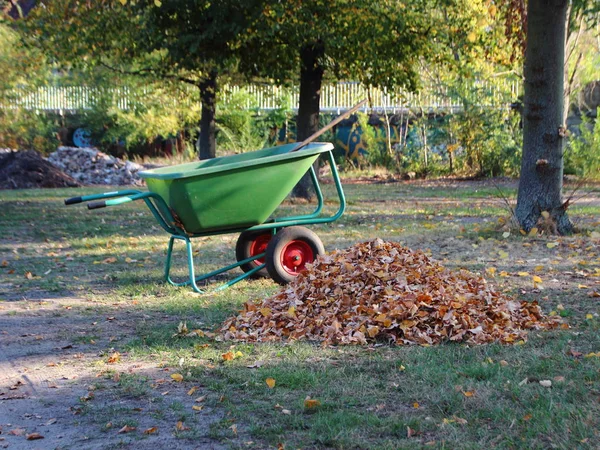 绿手推车在花园与棕色死秋叶 — 图库照片