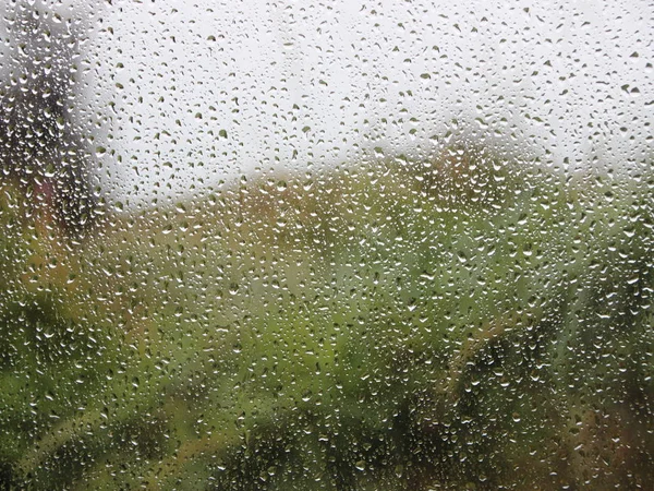 带有绿色花园背景的窗上的雨滴 — 图库照片
