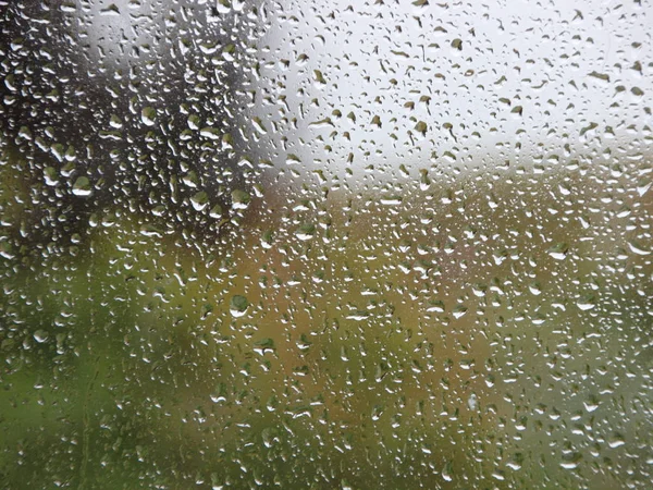 Gotas de lluvia en la ventana con fondo de jardín verde —  Fotos de Stock