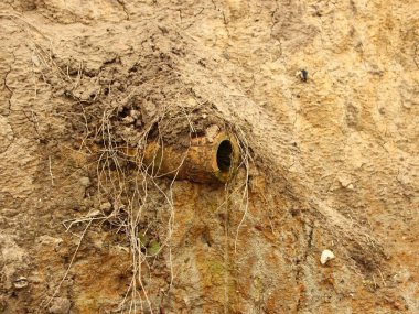 İzole bir kil drenaj borusu. Kirli, fazla gelişmiş ve kumlu bir yamaçta..