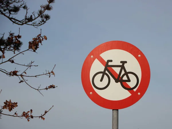一个圆形警告交通标志意味着不允许骑自行车 在左边可以看到一棵树上的分枝 — 图库照片