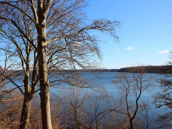 View Blue Lake Trees Foreground Leaves Trees Brown — Stock Photo, Image